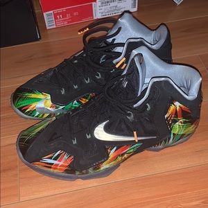 Nike LeBron 11 “Everglades” size 11
